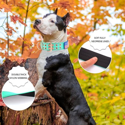 Heavy Duty Tactical Dog Collar with Neoprene Padded and Metal Buckle, Reflective Nylon for Medium to Large Dogs(Teal, Medium) - color: Teal, size: Medium (Pack of 1)