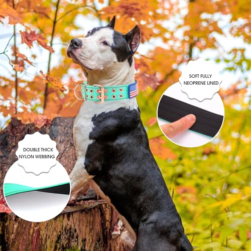 Heavy Duty Tactical Dog Collar with Neoprene Padded and Metal Buckle, Reflective Nylon for Medium to Large Dogs(Teal, Large) - color: Teal, size: Large (Pack of 1)