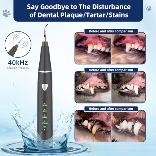Plaque Remover for Teeth, Pet Ultrasonic Cleaner, Dog Plaque and Tartar Remover with LED Light, Dog Teeth Cleaning Dental Care Kit for Tartar and Stains, Suitable for Dogs and Cats (Black) - color: Black