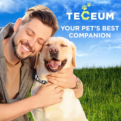 TECEUM Reflective Pet Collar – Black - Service Dog – XS – Extra Soft Padding – Basic Nylon Dog Collar – Quick Release Buckle – Fits Small, Medium and Large Dogs, Puppies, Cats - color: Black - Service Dog, size: X-Small