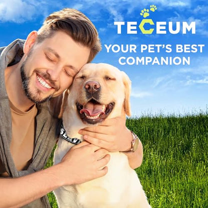 TECEUM Reflective Pet Collar – Black - Service Dog – XL – Extra Soft Padding – Basic Nylon Dog Collar – Quick Release Buckle – Fits Small, Medium and Large Dogs, Puppies, Cats - color: Black - Service Dog, size: X-Large