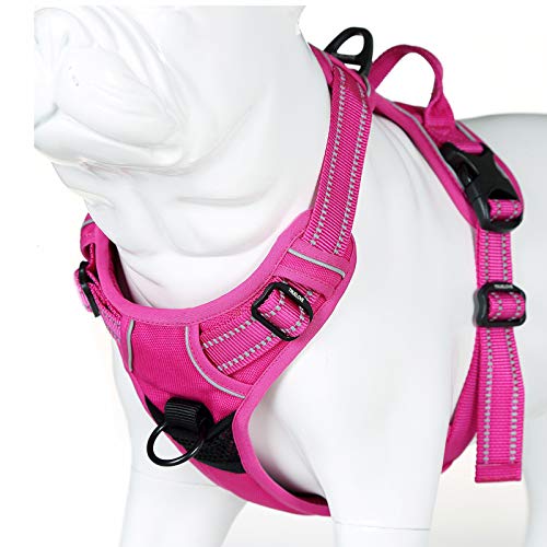 JUXZH Truelove No Pull Dog Harness with Easy Control Handle and 2 Leash Attachments,Reflective Adjustable Pet Vest - color: Fuchsia, size: Small (Pack of 1)