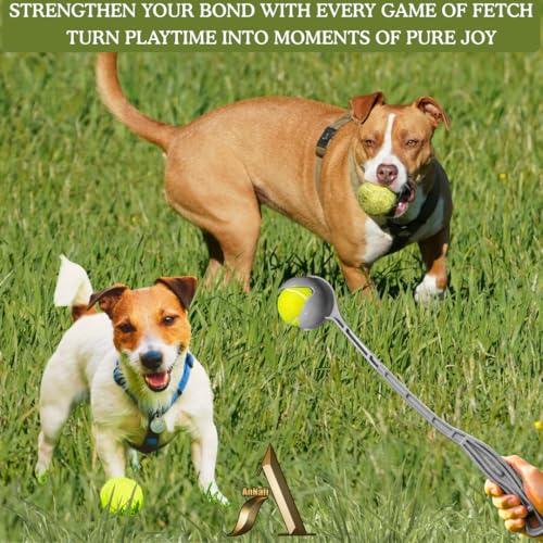 AnNafi® Speed Arm Ball Thrower | Cricket Practice Balls Speed Arm Launcher & Pickup | Fetch & Fold Ball Launcher Set | Cricket Practice Equipments (with Leather Ball, White) - color: White, size: With Leather Ball
