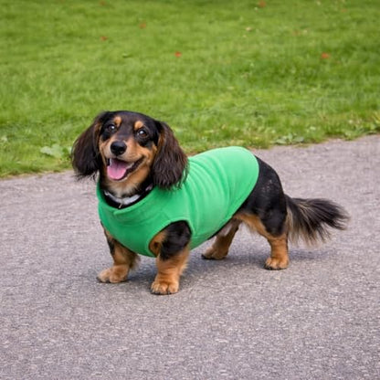 JACKO & CO - Fleece Vest Dog Sweater with Leash Ring - Soft, Warm & Lightweight Pullover Coat for Small & Medium Dogs, Puppies & Cats - Cozy Fall/Winter/Spring Pet Jacket (Green, Small 4-6lbs) - color: Green, size: S (4-6lbs)