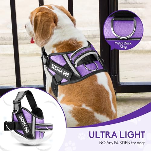 Service Dog Vest Harness and Leash Set, Animire in Training Dog Harness with 10 Dog Patches, Reflective Dog Leash with Soft Padded Handle for Small, Medium, Large, and Extra-Large Dogs - color: Purple, size: XXS