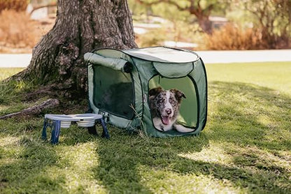SportPet Designs Soft-Sided Pop-Open Pet Kennel, Medium Portable Travel Crate for Cats & Dogs up to 50 lbs, Foldable Car Kennel with Seatbelt Straps & Washable Waterproof Pad, Green - color: Green
