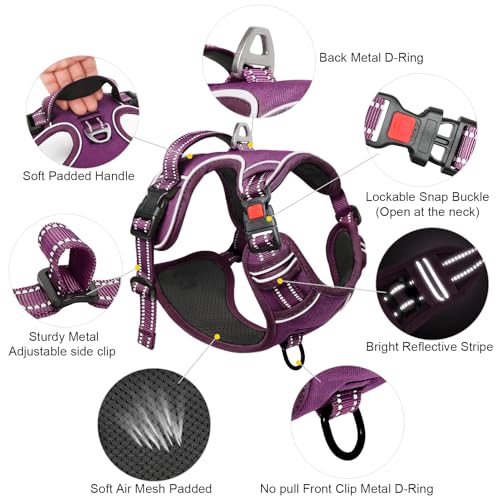 Timos Dog Harness Small Sized, No Pull Pet Harness with Neck Lockable Snap, No Choke Front Clip Reflective Vest, Adjustable Metal Rings 3 Buckles, Easy Control Handle for Small Dogs Grape Purple S - color: Lock Grape Purple, size: Small (Pack of 1)