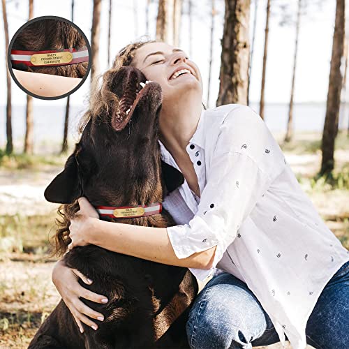 Regal Dog Products Medium Red Reflective Dog Collar with Custom Engraved Name Plate and Heavy Duty Center Ring | Waterproof Biothane Personalized Dog Collars - Other Sizes for Small & Large Dogs - color: Red, size: Medium