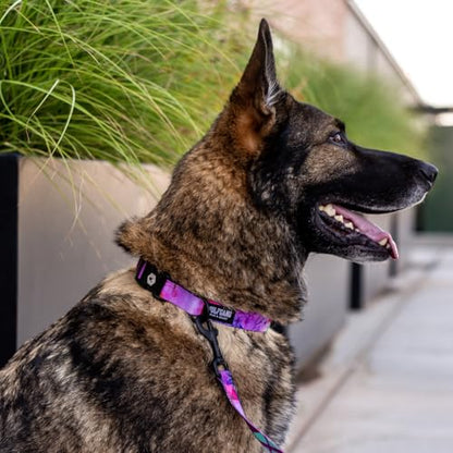Wolfgang Heavy Duty, Adjustable Dog Collar with Quick Release Nylon Buckle for Walking & Training, Daydream Print, Small - color: DayDream Print, size: Small (5/8 Inch x 8-12 Inch)