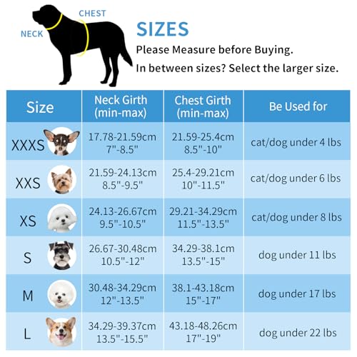 AIITLE Small Dog Harness - Breathable Double-Layer Jacquard No-Choke Vest, Durable Anti-Tear Fabric with Reflective Trim - Perfect for Running, Parties, Daily Walks (Blue-Pink, XS) - color: Blue-Pink, size: XS(Chest: 11.5 - 13.5")