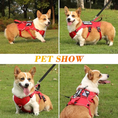VOOPET Escape Proof Dog Harness, Soft Padded Full Body Pet Harness, Reflective No Pull Dog Harness with Handle and 2 Leash Clips for Small Dogs Walking Hiking Training (Red,S)