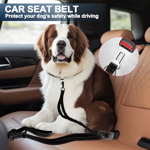 Heavy Duty Hands Free Dog Leash with Quick Release Carabiner and Adjustable No Pull Bungee Dog Running Waist Leash，for Walking and Training with Car Seat Belt 4-6FT (Black) - color: Black