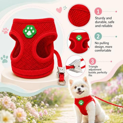 Dog Harness Small Sized and Leash Set, Step in Soft Light Puppy Vest, Breathable Mesh Pet Harness, Adjustable Pet Puppy Harness, Easy Walk Dog Harness, S: Chest 7.8-13.7" - color: Red, size: S: Chest 7.8-13.7" Leash 3.8 FT