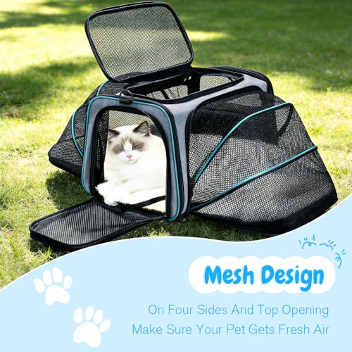 Double Expandable Cat Carrier,Airline Approved Soft-Sided Pet Travel Carrier for Small Dogs Cats under 15 lbs,Waterproof 600D Oxford Fabric with Washable Replacement Liner,Odor-Free & Claw-Proof(Blue) - color: Blue