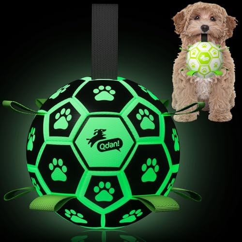 QDAN Premium Glow in The Dark Dog Toys, Dog Ball with Straps, Soccer Ball for Dogs, Outdoor Dog Toys, Pet Birthday Toys, Puppy Essentials for Small to Medium (6Inch) - color: Glow in the dark I, size: Medium