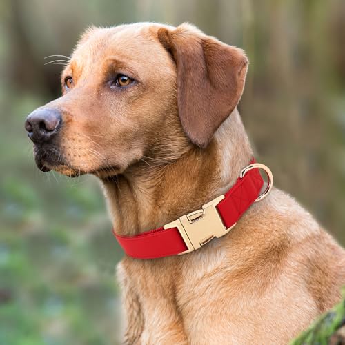 PET ARTIST Soft PU Leather Dog Collar, Bright & Classic Red Dog Collar with Quick Release Rose Metal Buckle, Adjustable Nylon Padded Durable Pet Collars for Medium Dogs Girl, Neck Fit 13-19" - color: Red, size: M: Fit 13-19" Neck(20-55 lbs)
