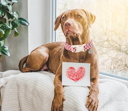 DOGWONG Valentine's Dog Collar - Red Heart Adjustable Cotton Heart Dog Collar - Perfect for Small to Medium Dogs - color: A: Red Heart, size: Extra Small