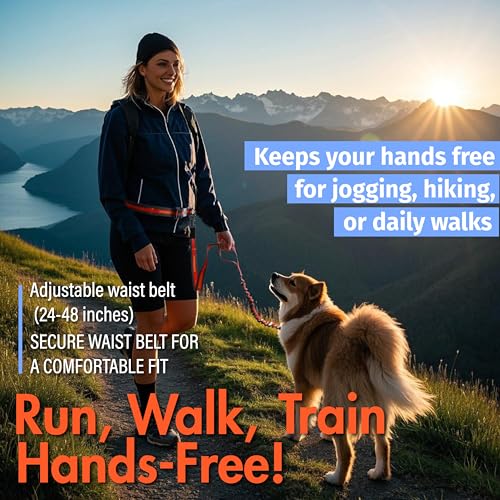 Hands Free Dog Leash with Waist Belt Lifetime Replacement, Dual Handle Bungee Leash for Running, Jogging, Hiking and Walking, for Medium and Large Dogs 5518 - color: Orange