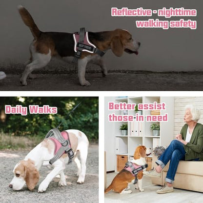 AUROTH Dog Harness and Leash Set, Soft Padded Service Dog Vest with 5.25FT Dog Leash, No Choke, Easy On Pet Vest, Adjustable Reflective No Pull Dog Harness Small Sized Dog, Easy Walking and Training - color: Macaron Blue, size: Small