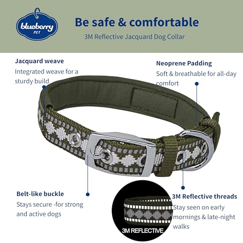 Blueberry Pet Reflective Jacquard Dog Collar with Neoprene Padding & Metal Buckle | Soft & Adjustable Safety Collar - Olive, Neck 17-20.5", for Large Breed - color: Metal Buckle-Olive, size: Large