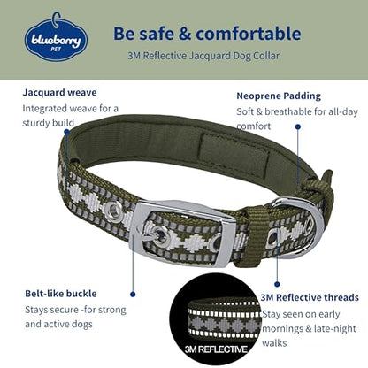 Blueberry Pet Reflective Jacquard Dog Collar with Neoprene Padding & Metal Buckle | Soft & Adjustable Safety Collar - Olive, Neck 17-20.5", for Large Breed - color: Metal Buckle-Olive, size: Large