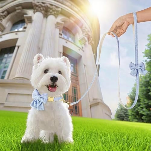 Dog Collar and Leash Set with Bowtie, Soft & Cute Puppy Collar, Cotton Puppy Collar with Adjustable Metal Buckle for Small, Medium Dog (Blue, Size S: Neck 10"-16") - color: Blue, size: S: Neck 10"-16" Leash 5 FT