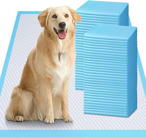Gimars XL 6-Layer Ultra Absorbent 1200ml 48-Hour Leak-Proof Dog Pee Pads, Quick Dry Extra Large Puppy Pads for Puppy Training, Senior & Incontinent Dogs, Cats, Overnight Use, 28"x34", 30 Count - size: 28"x34"- Blue 30 Counts