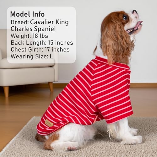 KYEESE 3Pack Small Dog Sweater, Soft Puppy Sweatshirt Stretchy Lightweight Dog Sweater for Small Dogs Girl Boy, Pullover Fleece Cat Shirt Pet Clothes with Sleeves, S - color: 07# 3Pack(Red+Pink+Red Stripe), size: Small (4-8lbs)