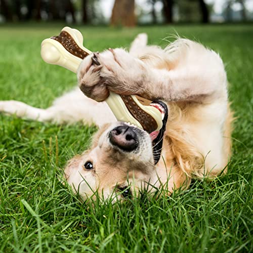 Sosation 4/5 Pack Dog Chew Toys for Aggressive Chewers Indestructible Nylon Dog Bones Beef Flavor Teething Chew Toys Bones for Large/Medium/Small Puppies(Large) - size: Large