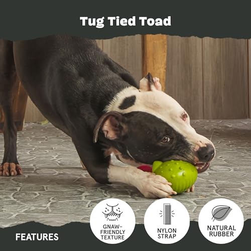 Barkbox Tug Tied Toad Dog Toy for Tough Chewers – Durable Rubber Design, Perfect for Tug-of-War - color: Tug Tied Toad-Large