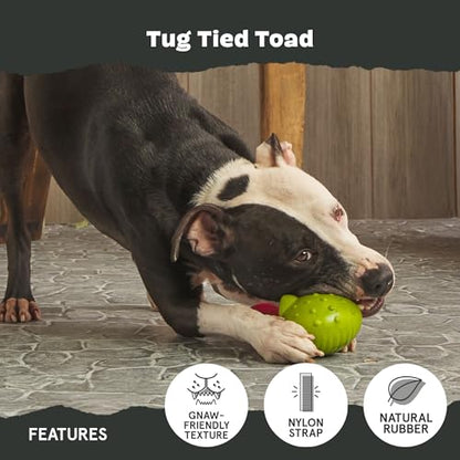 Barkbox Tug Tied Toad Dog Toy for Tough Chewers – Durable Rubber Design, Perfect for Tug-of-War - color: Tug Tied Toad-Large