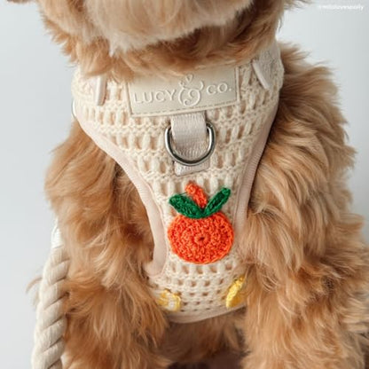Lucy & Co. Main Squeeze Crochet No-Pull Dog Harness, Adjustable Front Clip Harness with Comfort Padding, X-Large - color: Main Squeeze, size: X-Large