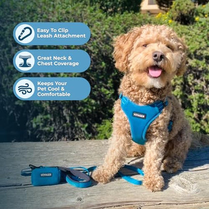 Best Pet Supplies Voyager Adjustable Step-in Flex Breathable Mesh Dog Harness for Small Medium Large Dogs (Turquoise), L - color: Harness (Turquoise), size: L