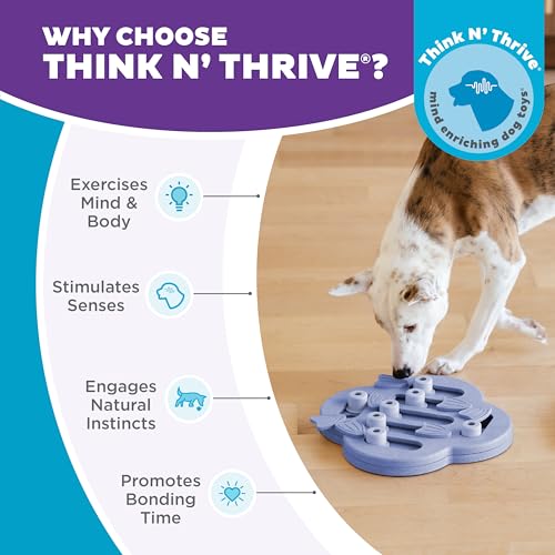 Outward Hound by Nina Ottosson Dog Hide N' Slide – Interactive Treat Puzzle Enrichment Toy, Level 2 Intermediate - color: Dog Hide-N-Slide (Purple)