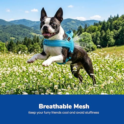 Didog No Pull Dog Harness with Breathable Mesh Padded,Reflective & Quick Fit Light Weight Dog Strap Vest Harness,Easy for Walking Training (XS:Chest 15-18", Mesh-Blue) - color: Blue, size: XS: Chest 15-18", Fit 9-18 lbs
