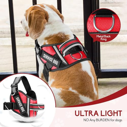 Service Dog Vest Harness and Leash Set, Animire in Training Dog Harness with 10 Dog Patches, Reflective Dog Leash with Soft Padded Handle for Small, Medium, Large, and Extra-Large Dogs - color: Red, size: XXS