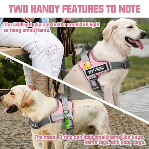 AUROTH Dog Harness and Leash Set, Soft Padded Service Dog Vest with 5.25FT Dog Leash, No Choke, Easy On Pet Vest, Adjustable Reflective No Pull Pet Vest Medium Sized Dog, Easy Walking and Training - color: Pink, size: Medium