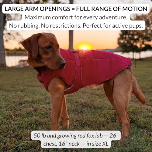 DJANGO Insulated Winter Dog Coat – Warm, Water-Repellent Puffer Jacket for Small Dogs, Dachshunds & Puppies – Adjustable, Reflective Cold-Weather Dog Coat with Harness Hole – Firelight Red, Small - color: Firelight Red, size: Small