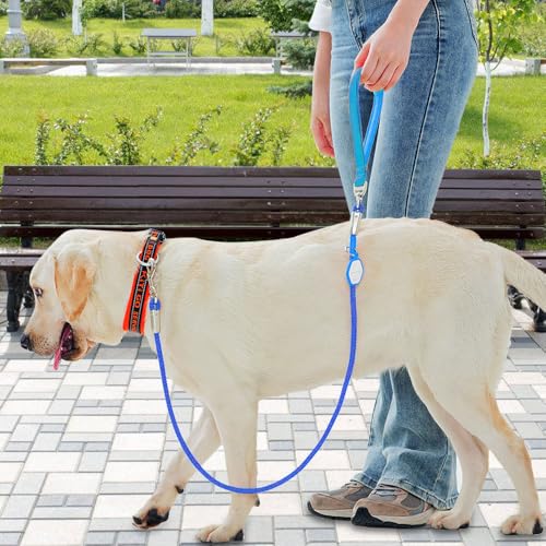 Dog Leash,Heavy Duty Dog Rope Lead with Soft Neoprene Padded Handle & 360° Swivel Clip for Medium Large Dogs (0.8cm*1.3/1.6m) - color: blue, size: 0.8*160cm