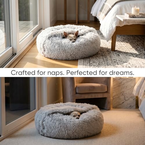 Himax Small Cat & Dog Bed with Cover, Calming Dog Bed for Small Dogs,Anti-Anxiety Donut Dog Bed with Attached Blanket,Washable Round Fluffy Pet Bed (20"/26"/35"), Light Grey - color: Light Grey, size: 20.0"L x 20.0"W x 7.0"Th