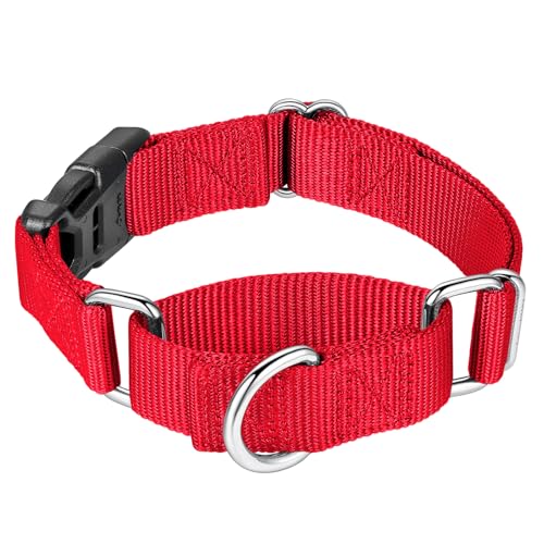 Mikivery Martingale Collar for Dogs Nylon Dog Collar with Quick Release Buckle Adjustable Training No Slip Dog Collars(Large, Red) - color: Red, size: Large