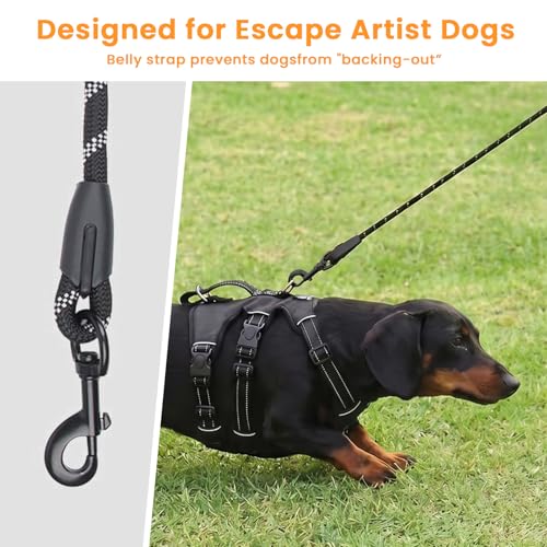 Escape Proof Dog Harness and Leash Set,Soft Padded Full Body Pet Harness, No Pull Reflective Adjustable Dog Vest with Handle, Easy Control Dog Harness for Medium Large Dogs Training Walking Running - color: Black, size: M