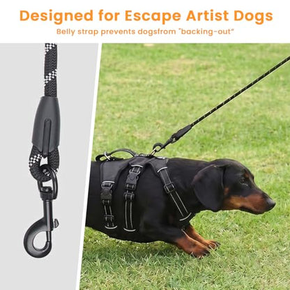 Escape Proof Dog Harness and Leash Set,Soft Padded Full Body Pet Harness, No Pull Reflective Adjustable Dog Vest with Handle, Easy Control Dog Harness for Medium Large Dogs Training Walking Running - color: Black, size: M