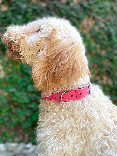Tuff Pupper Classic Heavy Duty Dog Collar | 10x Stronger Than Leather | 100% Waterproof & Odor Proof Dog Collar | Tough Rust-Proof All Metal Hardware - color: Punch Pink