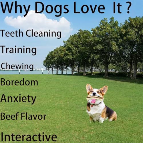 Dog Bones Chew Toys for Aggressive Chewers, 2 Pack Real Beef Flavor,Indestructible Teething Chew Toys for Large/Medium/Small Breed,Tough Toy with Durable Nylon - size: 8 Pcs C Bones Beef Flavor