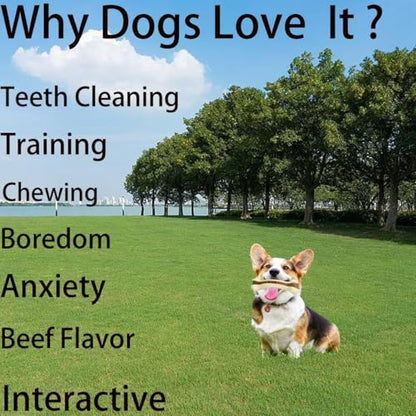 Dog Bones Chew Toys for Aggressive Chewers, 2 Pack Real Beef Flavor,Indestructible Teething Chew Toys for Large/Medium/Small Breed,Tough Toy with Durable Nylon - size: 8 Pcs C Bones Beef Flavor