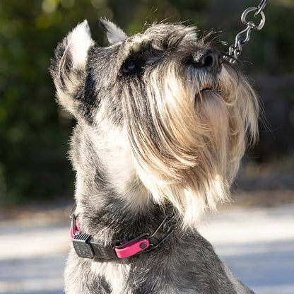 Herm Sprenger Black Stainless Steel Dog Collar with Quick Release ClicLock Buckle and Biothane Insert Training Collar Made in Germany (Passionfruit Pink, 23in x 3.2mm(Neck Size up to19-20in)) - color: Passionfruit Pink, size: 23in x 3.2mm(neck size up to1