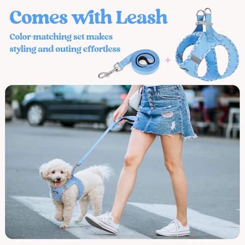 rabbitgoo Dog Harness Small Sized and Leash Set, Step in Soft Light Puppy Vest, Breathable Mesh Pet Harness, Reflective for Safe Easy Walking, Blue & Plaid Trim XXS - color: Blue & Plaid Trim, size: Xxs (chest: 12.4 - 14.2")