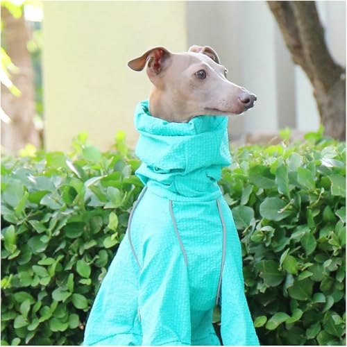 Large Dog Rain Jacket Greyhound Windbreaker Raincoat High Collar Adjustable Reflective Pet Clothes Rainproof Quick-Drying Jacket Coats for Whippet Dogs - color: Green, size: XL