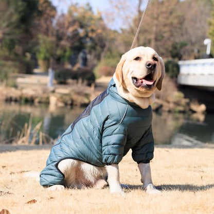ArmyGreen Dog Jumper, Windproof, Reflective - Dirigible Winter Jacket for S, M, L - Zip, Adjustable Sizes - color: Armygreen, size: S (11inch Back)